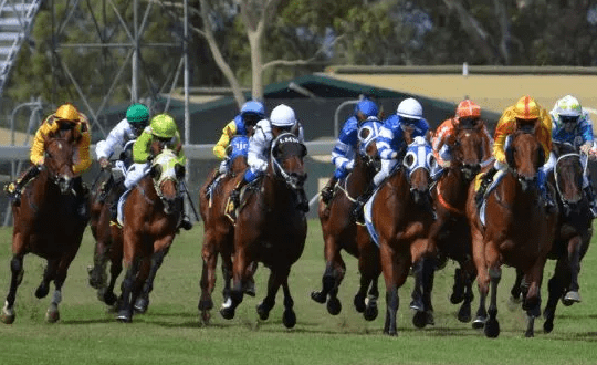 Delasport is partnered with by BetMakers to incorporate Price Manager fixed-odds solution.